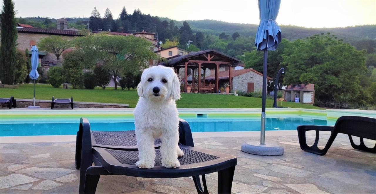 Podere Verdi Colline ポッピ エクステリア 写真